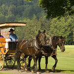 Luxurious Resorts Tell History of America's East Coast
