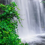 North Carolina's Land of Waterfalls
