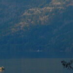 Third Time's the Charm for Winter Fishing in British Columbia