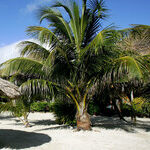 See More Than the Beach in Belize