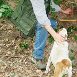 Try Tricky and Tense Hunting for Truffles in Alba, Italy