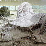China's Shandong Province Serves up Museums, Culture and Wine