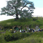 See Where the Hobbits Lived in New Zealand