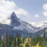 See Wildlife and Wild Scenery in Montana