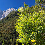 Beauty, Affordability and Safety in Slovenia