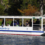 Enjoy Art and Nature in Tallahassee