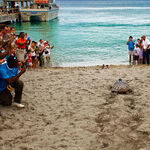 Watch the Tagging of Sea Turtles in Nevis