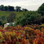 Sip, Taste and Rest in California's Shenandoah Valley Wine Trail