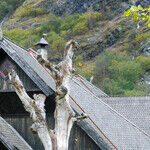 Plan to Get Off the Train in Flam, Norway