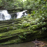 Take a Walk in the Great Smoky Mountains