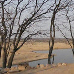 On Safari in Glorious Zimbabwe