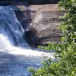 Take a Hike at the DuPont Forest