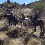 A Magical Ride in Arizona's Sonoran Desert