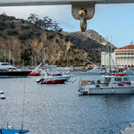 Wrigley's Dream Thrives on Catalina Island