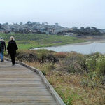 Cambria Is a Sparkling Gem on California's Coast