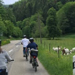 River Cruising Offers Carefree European Travel