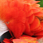 Amazonia: Not a Typical Tourist Destination