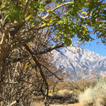 U.S. Highway 395 Leads Back Into California History