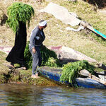 Watch Life Go by on the Nile River in Egypt