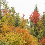Small Rangeley, Maine, Yields Big Fun