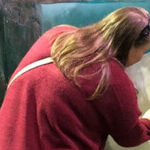 Ripley's Aquarium of the Smokies Offers a Day Filled With Fun