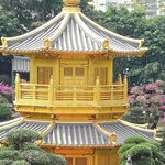 Celebrate Chinese New Year in Hong Kong