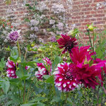 The Sissinghurst Castle Garden Was Cultivated With Love