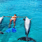 Underwater and Overwater Animal Encounters in Curacao