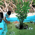 Aquarium Encounters Offers Play With Sea Creatures