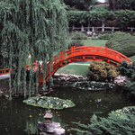 Gardens Around the Country Celebrate Spring
