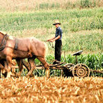 Good Times and Quiet Moments in Kent County, Delaware