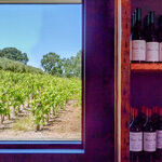 Days of Wine and Oysters in Paso Robles