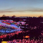 'Field of Light at Sensorio' Illuminates the Hills of Paso Robles