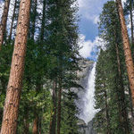 Scenic Sights Assault the Senses at Yosemite National Park