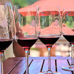 A Serendipitous Road Trip to Paso Robles
