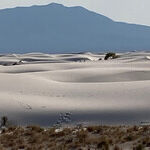 Search the White Sands of Alamogordo, New Mexico