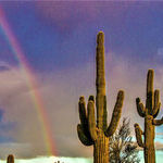 Old West Meets Modern Chic in Scottsdale, Arizona