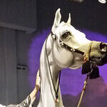 Head to Kentucky Horse Park for Equine Fun