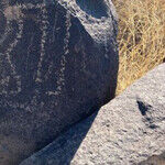 New Mexico's Three Rivers Petroglyph Site Opens a Door to the Past