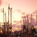 Time Forgot Amelia Island -- Thank Goodness!