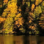 In Search of Autumn Color