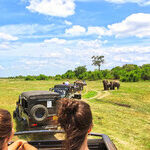 Single Travelers Find Ways to Go It Alone