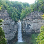 Find Gorges, Greenery, Gardens and Goats in Ithaca, New York