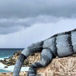 A Reset in Cancun