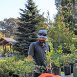 Pinot Noir, Hops and Regeneration in the Willamette Valley