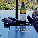 Days of Wine and Warblers in Paso Robles