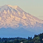 Be Totally Amazed by Tacoma