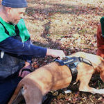 Truffle Hunt Yields Flavors and Fun