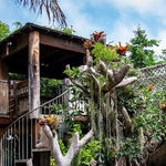 San Diego Botanic Garden Offers Plants and Play