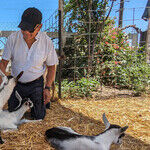 Eureka! Finding California's Cheese Trail